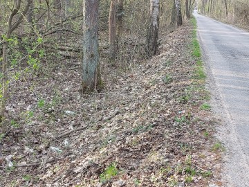 Seniorzy dla Przyrody - działamy razem, 